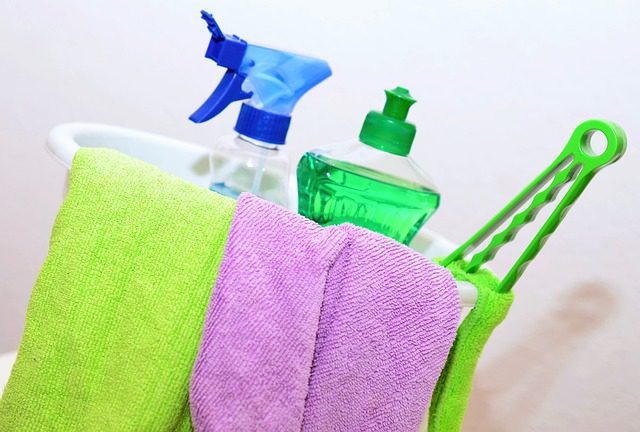 Expertos hablan: los productos para mantener la casa limpia