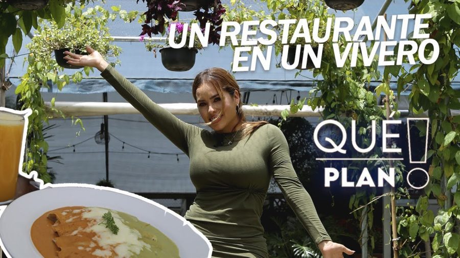 gastronomia-en-Viveros - Diario a pie de barrio