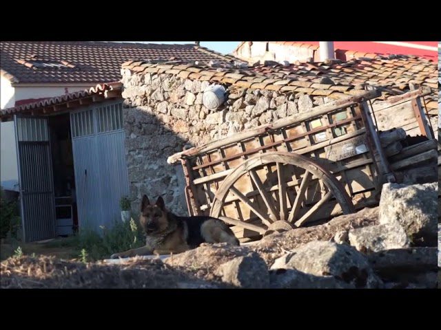 Descubre las Fascinantes Culturas y Tradiciones de Zapardiel de la Ribera: Una Inmersión en su Patrimonio Cultural