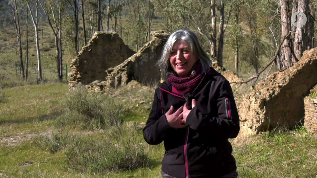 cultura-y-tradiciones-de-Azuaga - Diario a pie de barrio