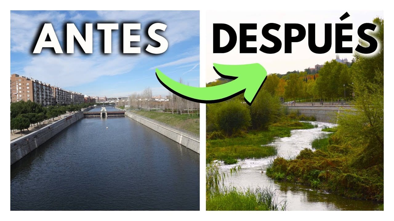qué impacto tiene la digitalización en Dónde encontrar naturaleza en Madrid