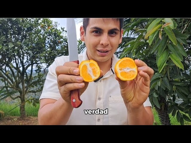 Beneficios de vivir cerca de la naturaleza en áreas rurales